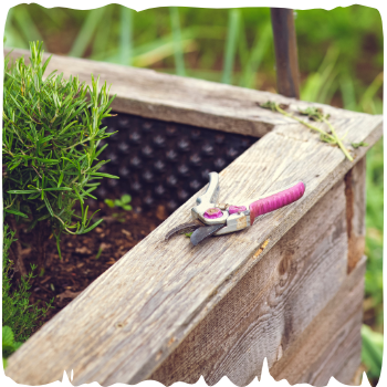 Raised bed